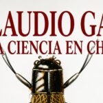 CLaudio gay