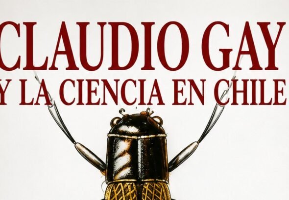 CLaudio gay