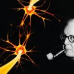 piaget2