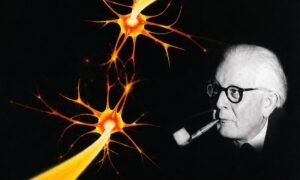piaget2